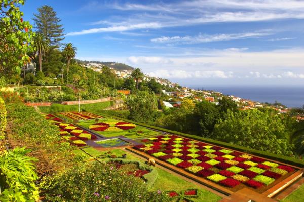 Madeira Escape &ndash; The Pearl of the Atlantic (Solo Tour)
