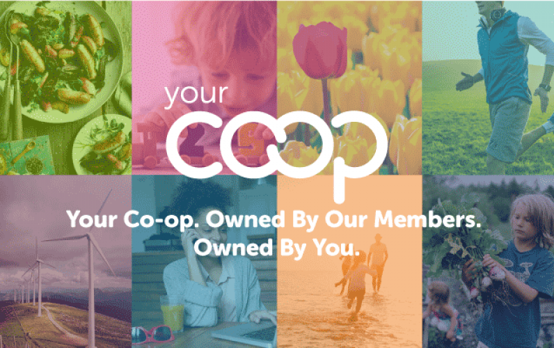 About Your Co-op 2